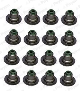 Seal Set, valve stem PAYEN HR5082