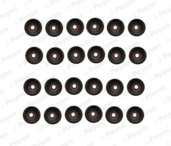 Seal Set, valve stem PAYEN HR5107
