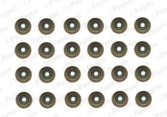 Seal Set, valve stem PAYEN HR5121