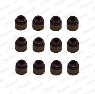 Seal Set, valve stem PAYEN HR5133