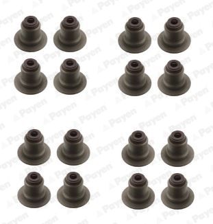 Seal Set, valve stem PAYEN HR5141