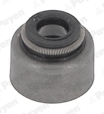 PAYEN HR5150 Seal Set, valve stem