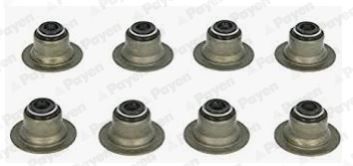 Seal Set, valve stem PAYEN HR656