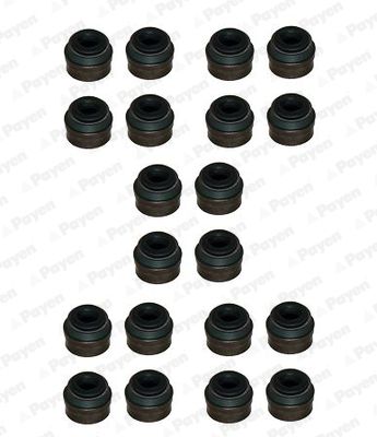 PAYEN HR822 Seal Set, valve stem