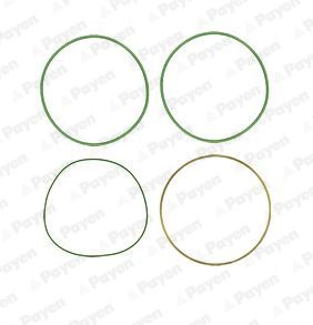 PAYEN HT018 Gasket Set, cylinder liner