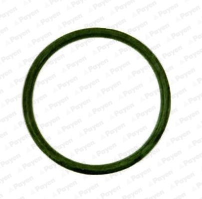 PAYEN JD538 Gasket, intake manifold