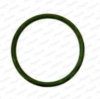 Gasket, intake manifold PAYEN JD538