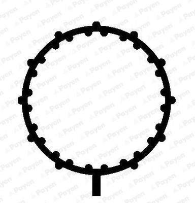 PAYEN JD5838 Gasket, intake manifold