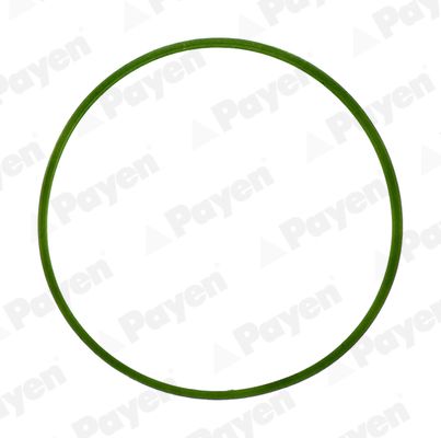 PAYEN JD5982 Gasket, intake manifold