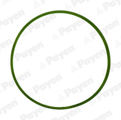 Gasket, intake manifold PAYEN JD5982