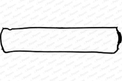 Gasket, cylinder head cover PAYEN JM5016