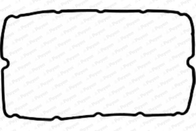 Gasket, cylinder head cover PAYEN JM5037