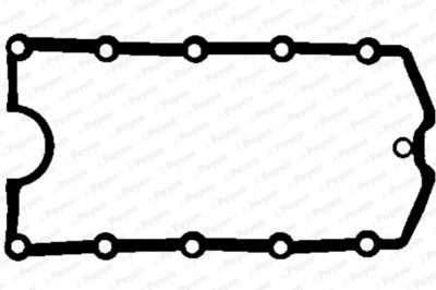 Gasket, cylinder head cover PAYEN JM7029