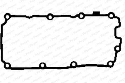 Gasket, cylinder head cover PAYEN JM7047