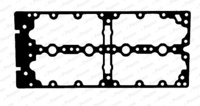 Gasket, cylinder head cover PAYEN JM7198