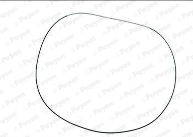 Gasket, cylinder head cover PAYEN JN943