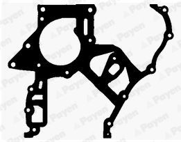 PAYEN JR5029 Gasket, timing case