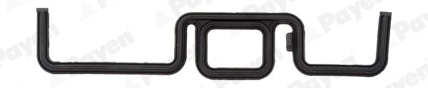 PAYEN JR5031 Gasket, timing case