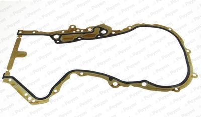 Gasket, timing case PAYEN JR5048