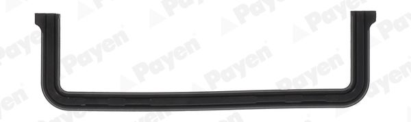 PAYEN JR5051 Gasket, timing case cover