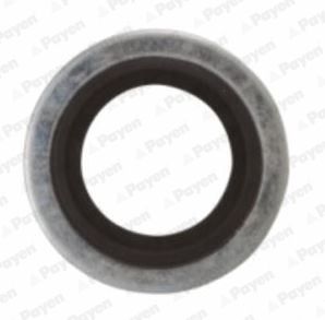 Seal Ring, oil drain plug PAYEN KG5012