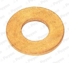 PAYEN KG5078 Seal Ring, nozzle holder