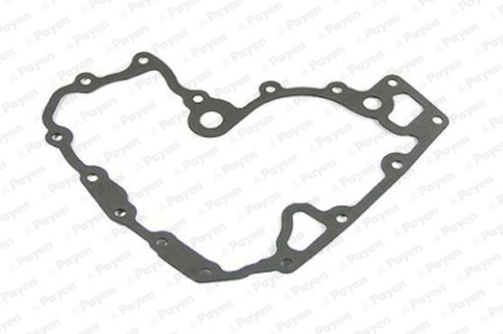PAYEN KK5597 Gasket, exhaust pipe