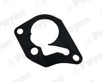 Gasket, vacuum pump PAYEN KK5643