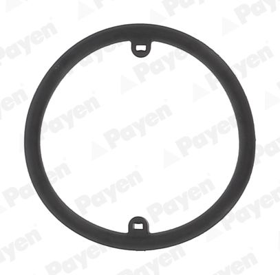 PAYEN KK5686 Seal Ring, oil cooler (lubrication)