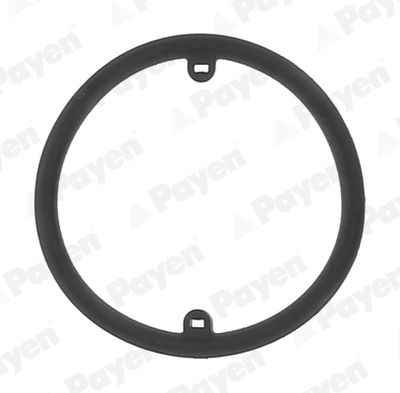 Seal Ring, oil cooler (lubrication) PAYEN KK5686