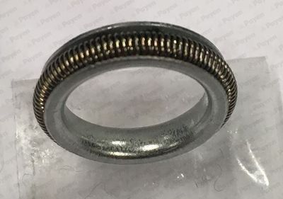 Seal Ring PAYEN KK5742