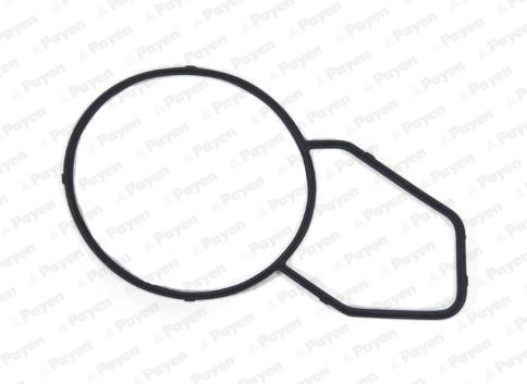 PAYEN KK5744 Gasket, thermostat housing