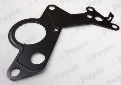 Gasket, fuel pump PAYEN KK5746