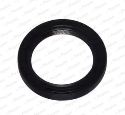Shaft Seal, crankshaft PAYEN NA5306