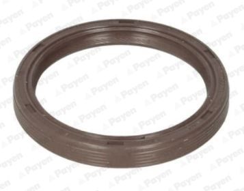 Shaft Seal, camshaft PAYEN NA5310