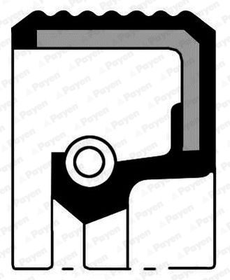Shaft Seal, manual transmission PAYEN NA5449