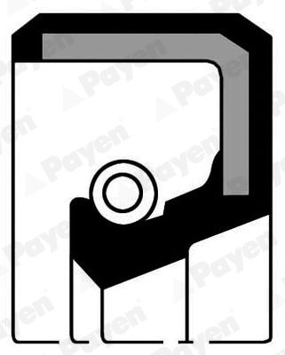 Shaft Seal, camshaft PAYEN NB775