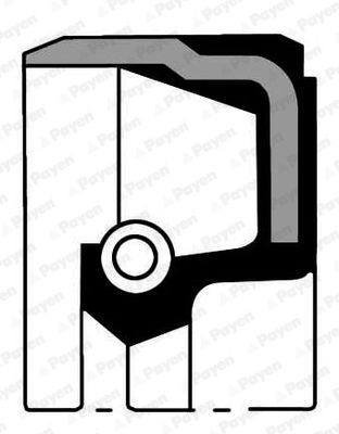 Shaft Seal, crankshaft PAYEN NB848