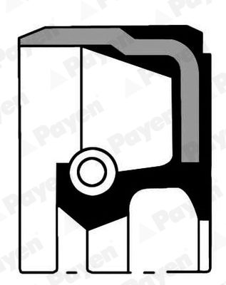 Shaft Seal, crankshaft PAYEN NC006