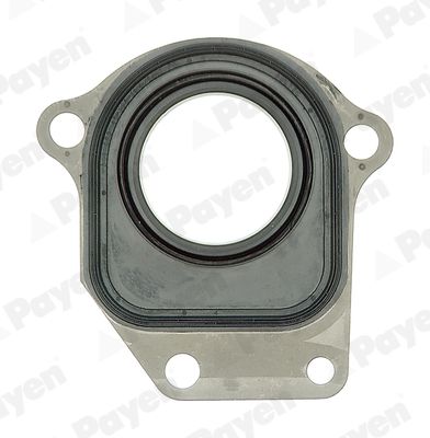 Shaft Seal, intermediate shaft PAYEN NC044