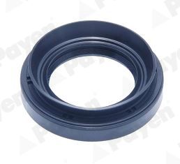 PAYEN NJ452 Shaft Seal, differential