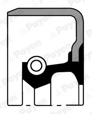 Shaft Seal, differential PAYEN NJ540