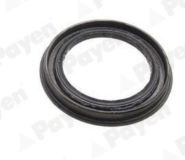 Shaft Seal, wheel hub PAYEN NJ695