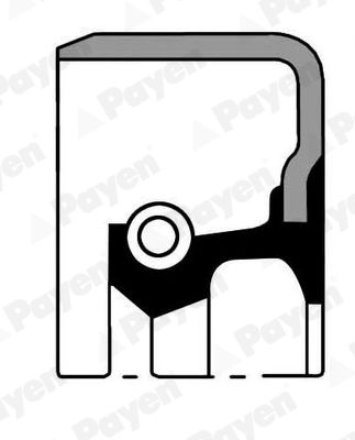 Shaft Seal, manual transmission PAYEN NJ794