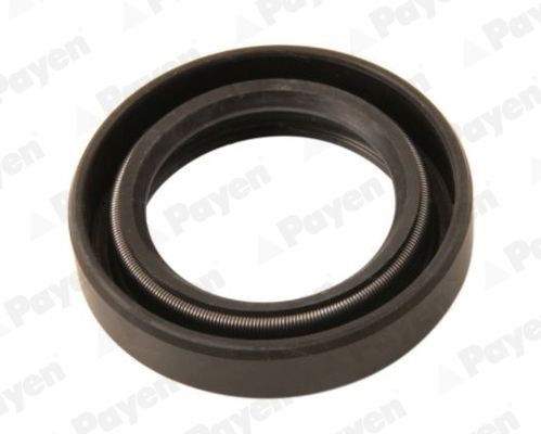 PAYEN NJ849 Shaft Seal