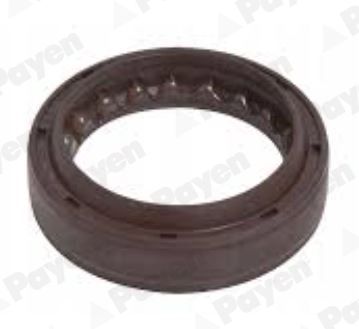 Shaft Seal, manual transmission PAYEN NJ962