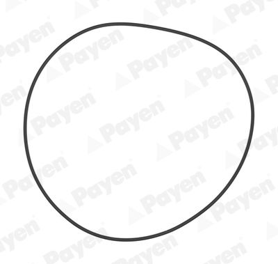 Gasket, cylinder liner PAYEN PA708
