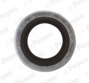 Seal Ring, oil drain plug PAYEN PB852