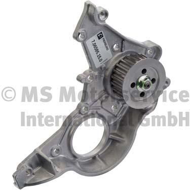 Oil Pump PIERBURG 7.06595.15.0