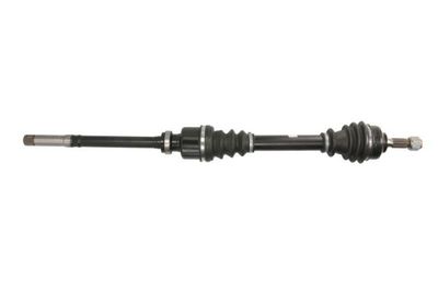 Drive Shaft POINT GEAR PNG71561
